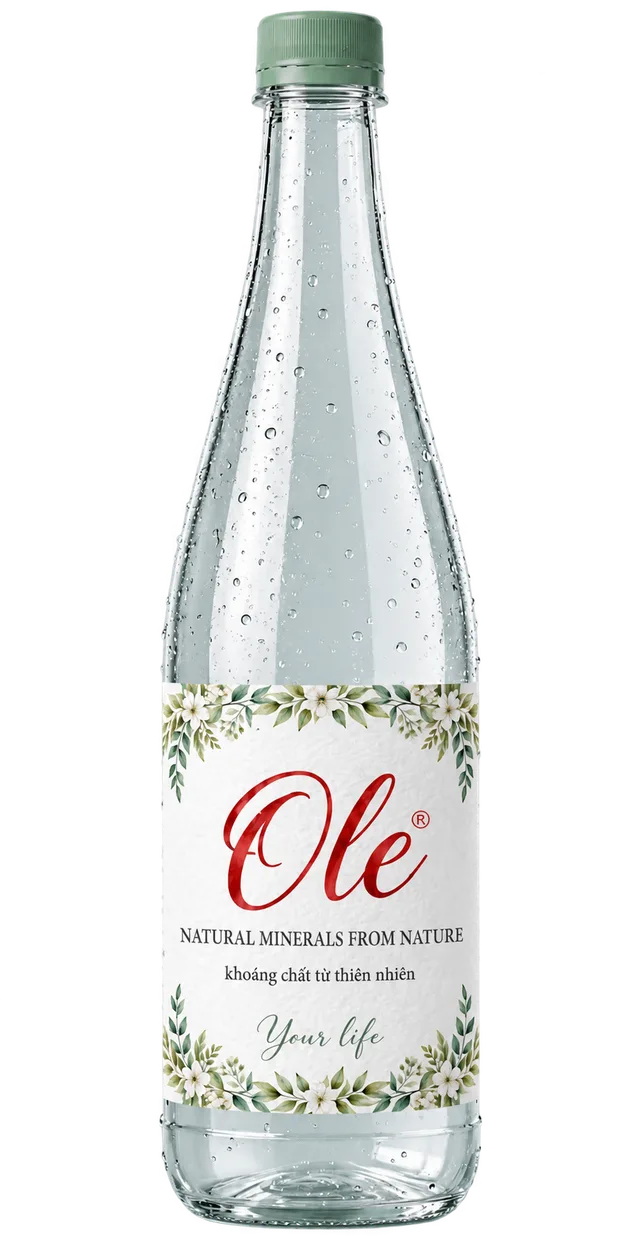 Nước khoáng OLE 250 ml