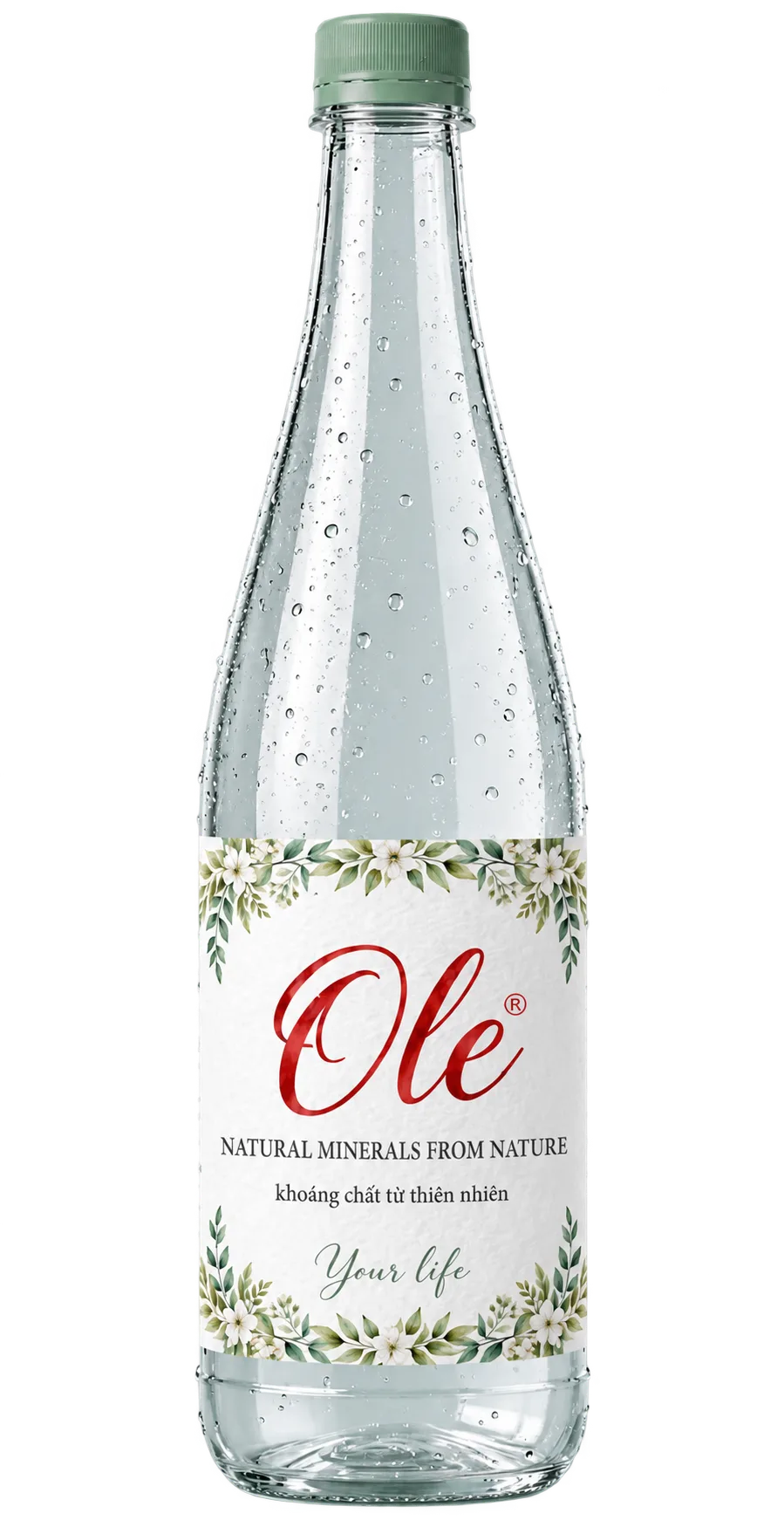 Nước khoáng OLE 250 ml